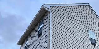 Best Siding Painting and Refinishing  in Adamstown, PA